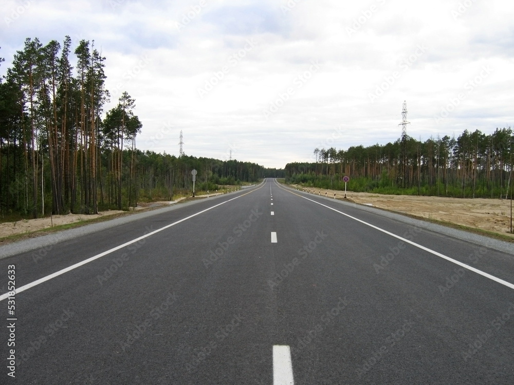 a new asphalt road passes through a pine forest