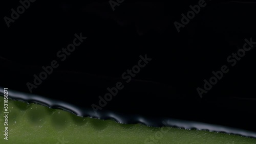 Black ink drips on a cut cucumber and paints it black with some glitter - extreme close-up photo