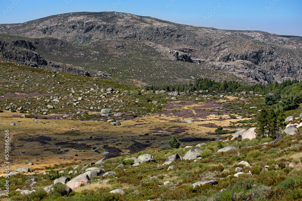 Vallée de la Serra d'Estrela, plus haute montagne du Portugal, à la végétation basse et aux rochers de granit.