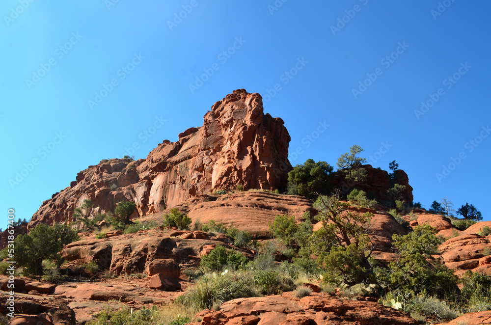 Scrub and Trees at the Base of a Red Rock