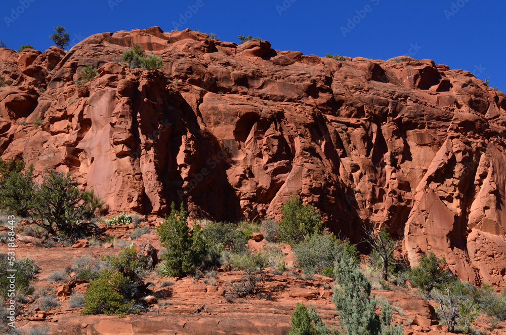 Up Close with a Large Red Rock Formation