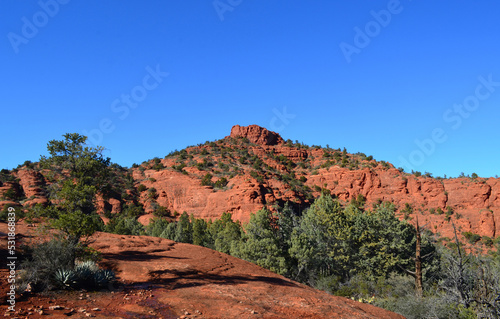 Vibrant Landscape of Lush and Rocky Sedona Arizona