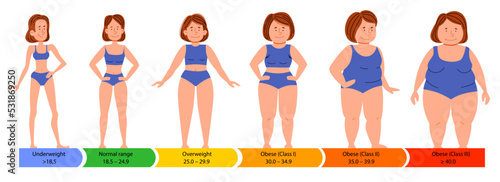 Categories with body mass index. Female silhouettes with a thick, normal and slender figure. Flat vector infographics with people with different metabolism and weight.