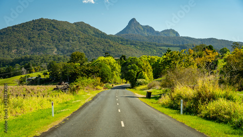 Tableau sur toile Picturesque road along the Tyalgum Rd, NSW, Australia
