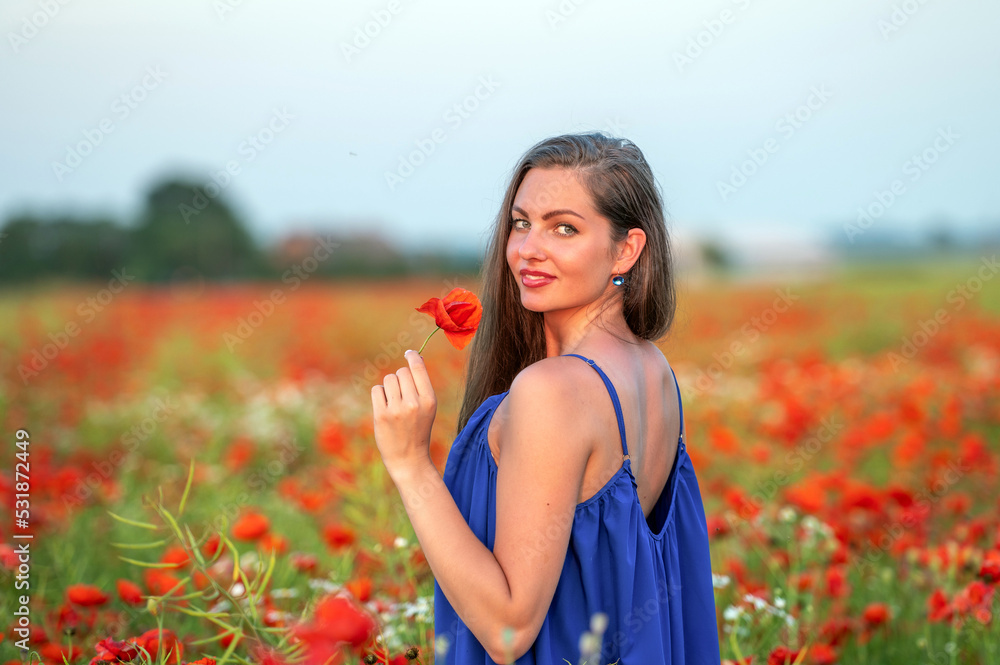 portrait of elegant young woman in poppy field in evening sunlight portrait of elegant young woman in poppy field in evening sunlight