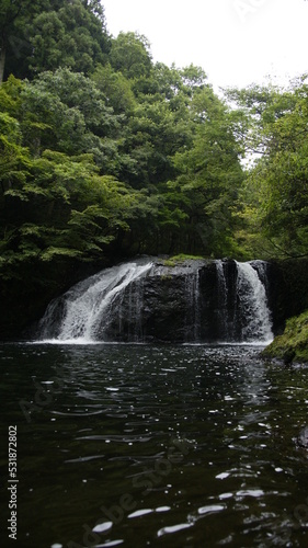 waterfall in the forest