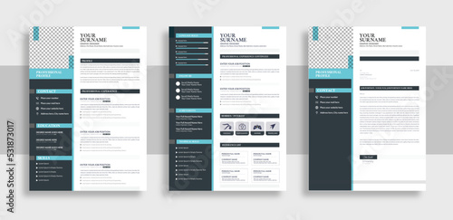 Clean Modern Resume and Cover Letter Layout Vector Template for Business Job Applications, Resume design template
