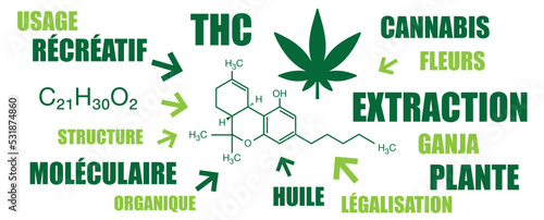 nuage de mots THC