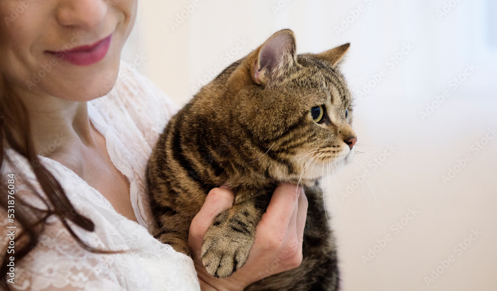 Portrait of young woman holding cute cat. Female hugging her cute long hair kitty.