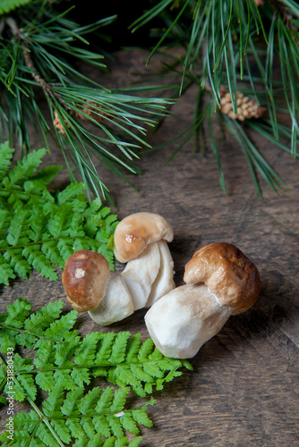 Porcini mushroom commonly known as Boletus Edulis on vintage wooden background..