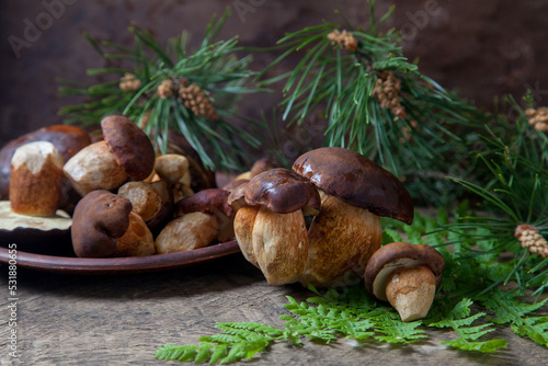 Imleria Badia or Boletus badius mushrooms commonly known as the bay bolete and clay plate with mushrooms on vintage wooden background..