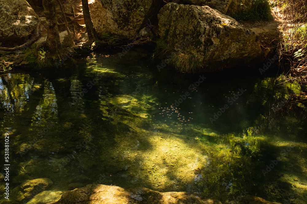 Beautiful Deep Green River Bed in Sillans-la-Cascade, France Beautiful Deep Green River Bed in Sillans-la-Cascade, France