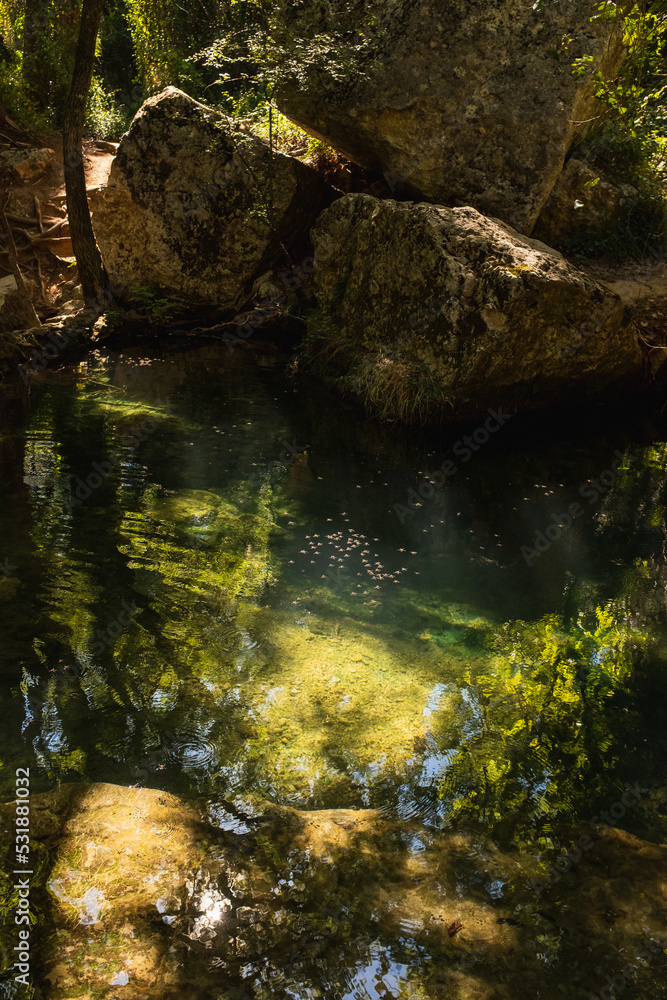 Beautiful Deep Green River Bed in Sillans-la-Cascade, France Beautiful Deep Green River Bed in Sillans-la-Cascade, France