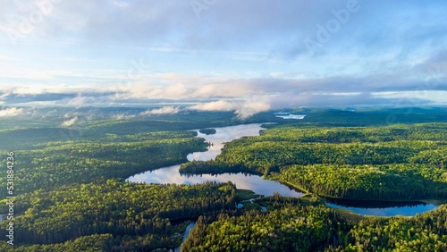 Aerial view of the forest in Algonquin park, Canada with green trees and a river and photo