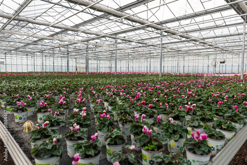  Landscaping and Horticulture Centre. Large greenhouse with seedlings. Plant cultivation in the greenhouse.  On the pot it says: 
