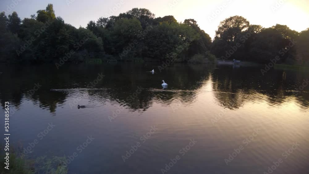 Magical colours reflects on lake in magical hour by sunset while ducks and goose are swimming in lake