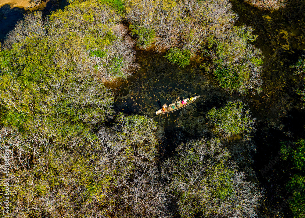 Amazing scenery in Ru Cha mangroves in Hue city, Vietnam. Amazing scenery in Ru Cha mangroves in Hue city, Vietnam.