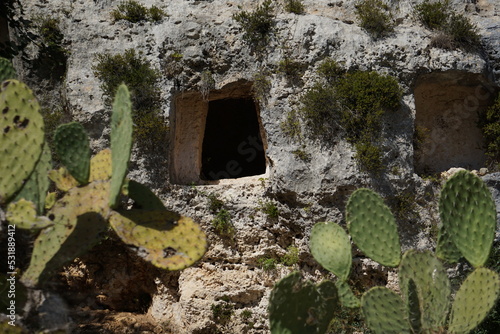 Foto di una tomba scavata nella roccia, nella necropoli di Pantalica, con le pale di ficodindia, caratteristici della Sicilia, in primo piano photo