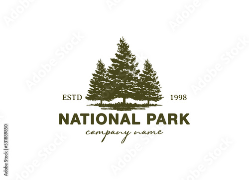 Rustic Retro Vintage Woodland, Evergreen, Pines, Spruce, Cedar trees logo design