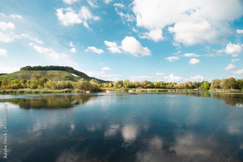 Biodiversity Haff Reimech, wetland and nature reserve in Luxembourg, pond surrounded by reed and trees, bird watching observation point Biodiversity Haff Reimech, wetland and nature reserve in Luxembourg, pond surrounded by reed and trees, bird watching observation point