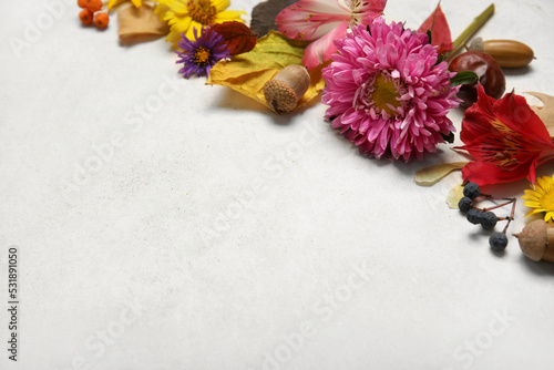 Autumn composition with flowers on light background, closeup
