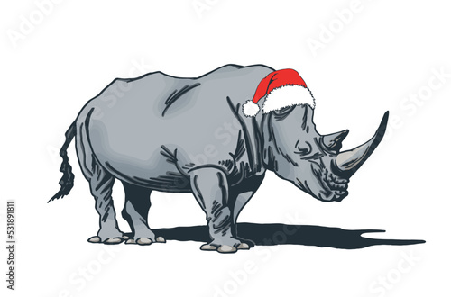 Vector color  illustration of rhino in Santa Claus hat isolated on white background  grey rhinoceros   christmas element