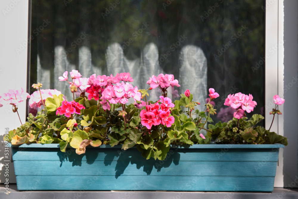 Flowers in a wooden pot decorating a window. Selective focus
