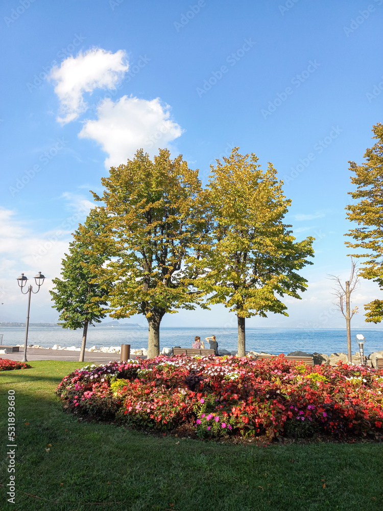 Naklejka premium autumn in the park