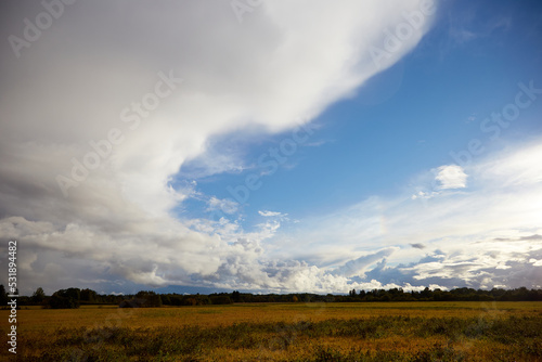 View on the agricultural field and beautiful sky covered with white clouds