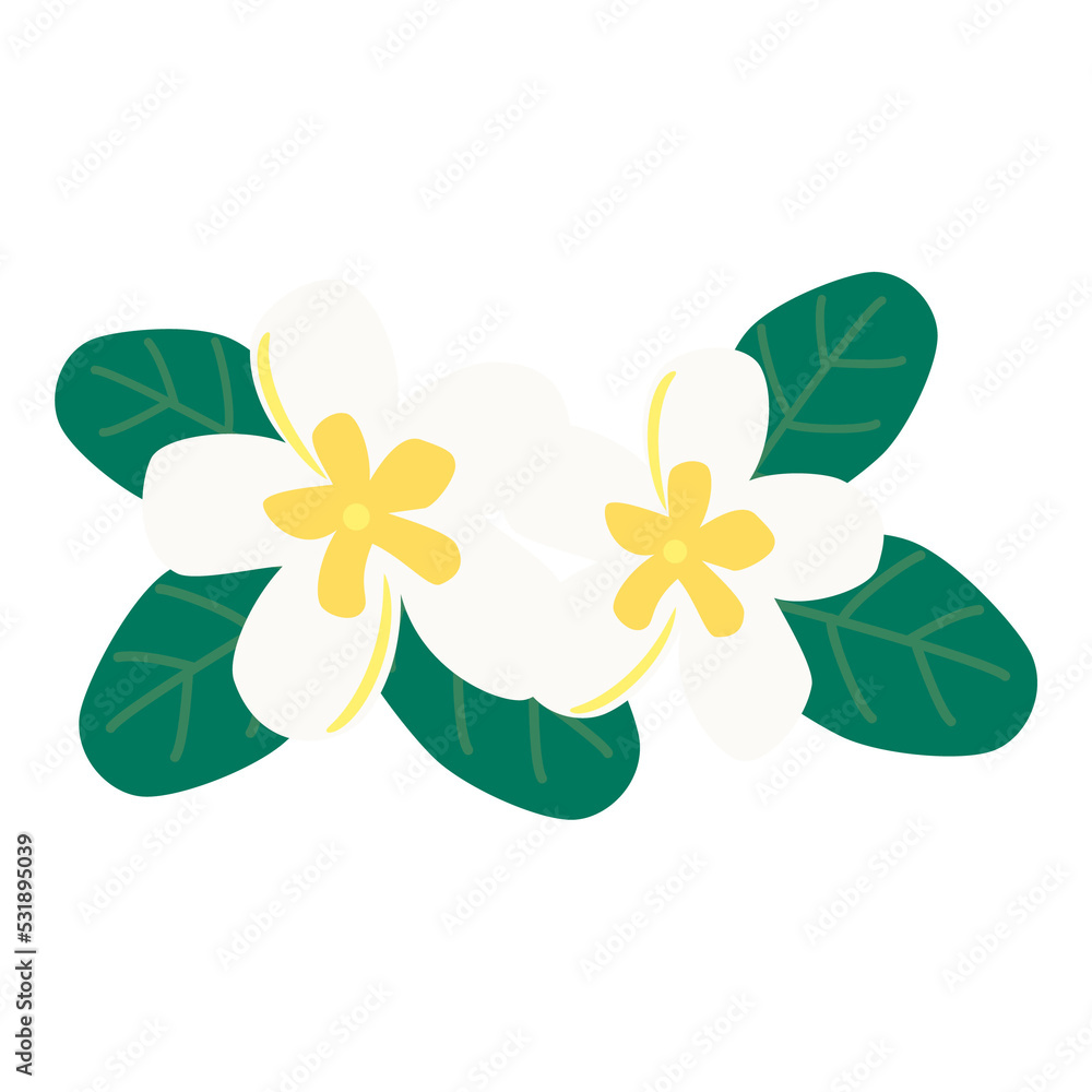 plumeria flowers illustration plumeria flowers illustration