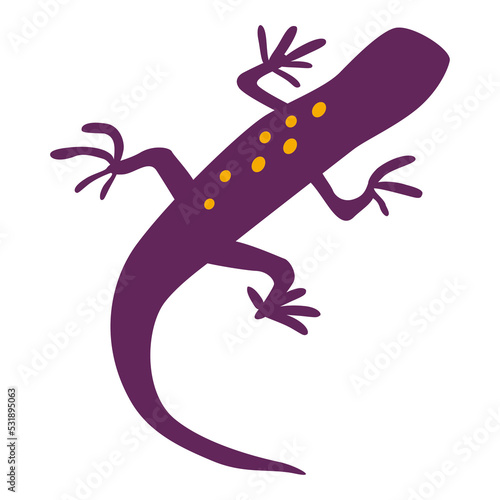 gecko illustration