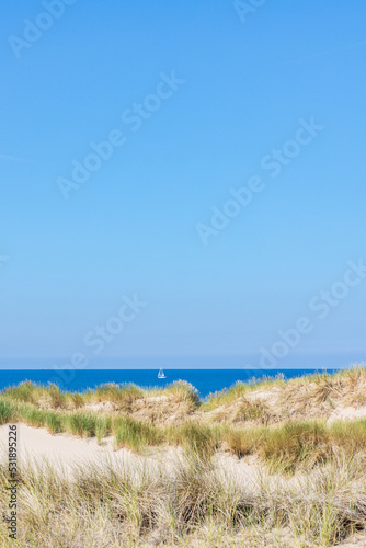 Scenic of dunes along the Dutch coast of North Holland between Schoorl and Petten in The Netherlands