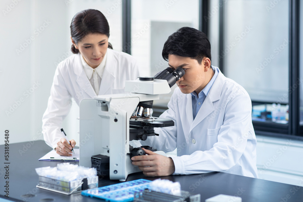 Researchers working in laboratory Researchers working in laboratory