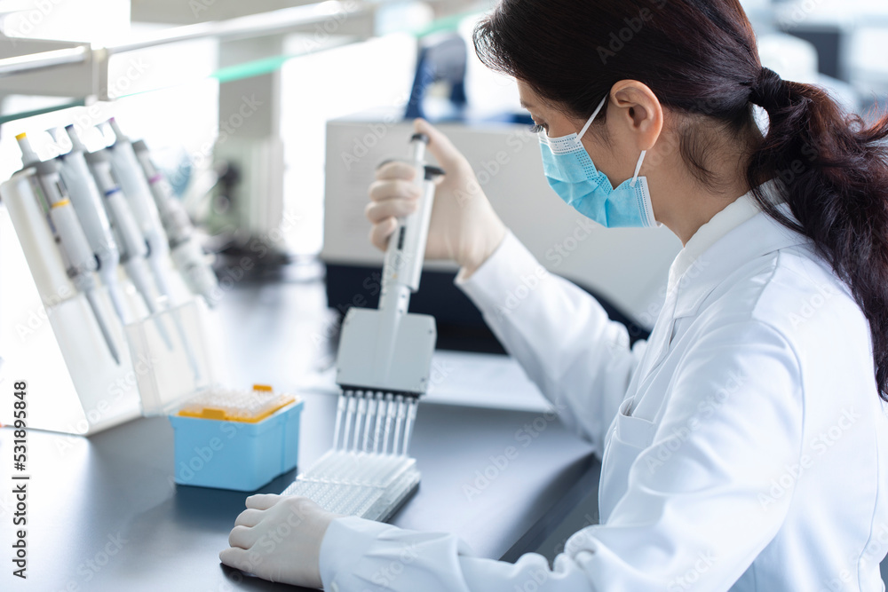 Scientist pipetting samples in laboratory Scientist pipetting samples in laboratory