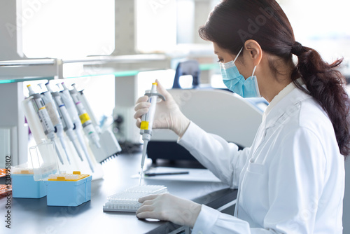 Scientist pipetting samples in laboratory photo