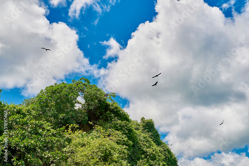 Samaná República Dominicana Aitises