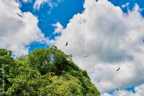 Samaná República Dominicana Aitises