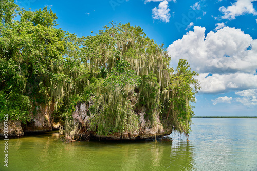Samaná República Dominicana Aitises