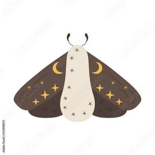 Collection of vector magic fairy tale elements, icons and illustrations. Magic moth.