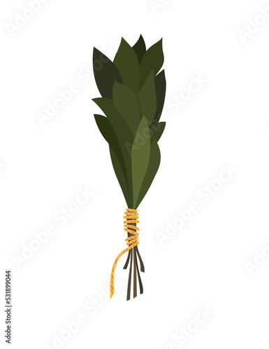 Collection of vector magic fairy tale elements, icons and illustrations. Herb.