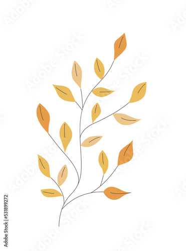 Collection of vector magic fairy tale elements, icons and illustrations. Herb.