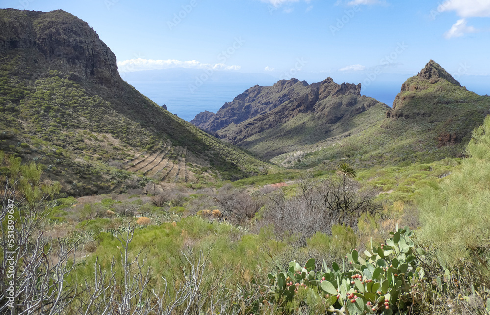 Obraz premium Around Masca and Teno in Tenerife