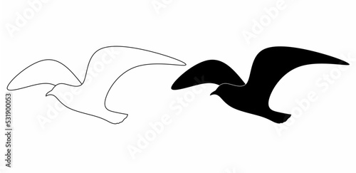 outline Silhouette seagull flying vector