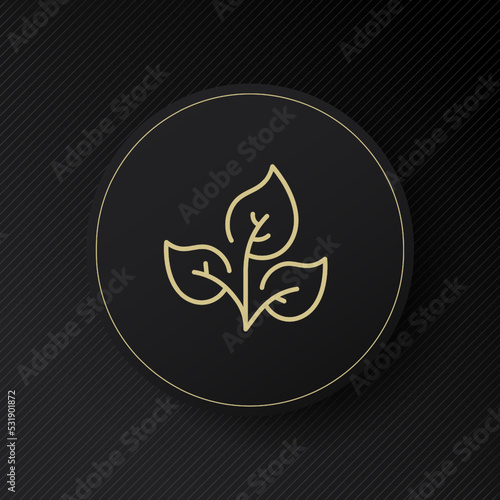 Sprout line icon. Plant  greenery  ecology  photosynthesis  seeds  save planets  gardening  phytology  grower  herb. Horticulture concept. Vector line icon for Business and Advertising
