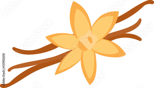 Star anise Herb Spice. Vector illustration