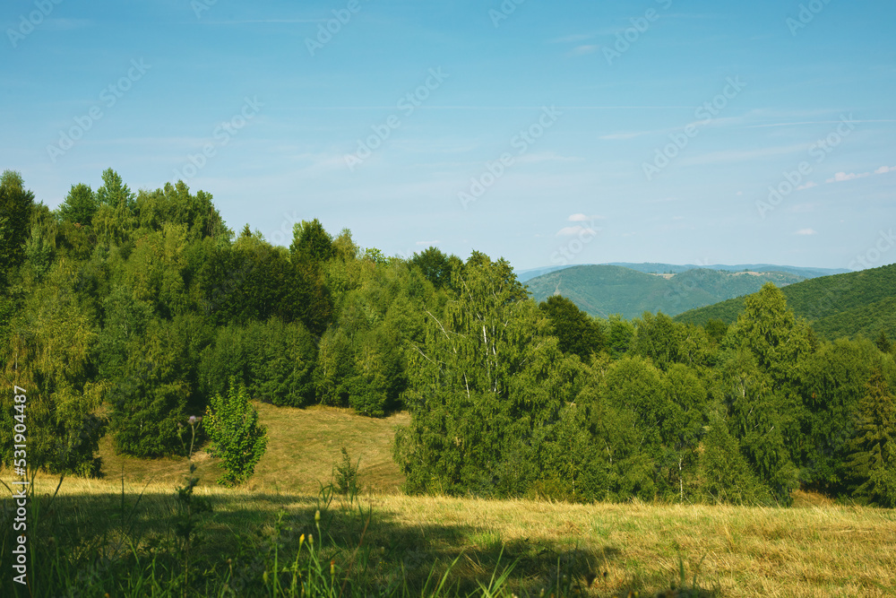 Rural landscape with green fields and forests.Summer season. Rural landscape with green fields and forests.Summer season.