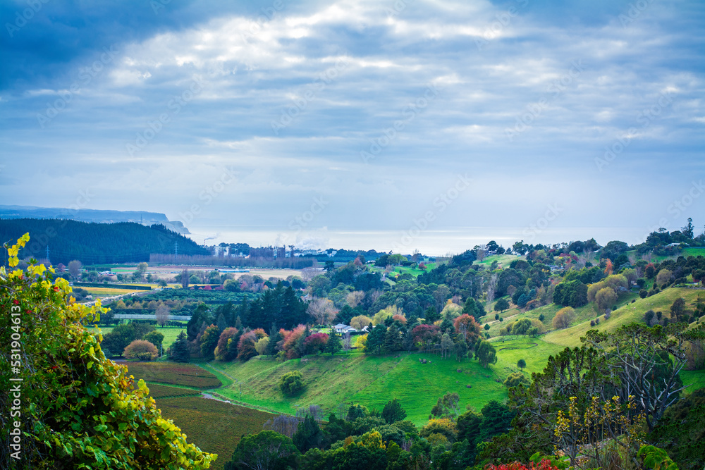 Autumn landscape with colourful valley of golden vineyards and changing trees under stormy sky. Beautiful autumn morning in Hawkes Bay, New Zealand