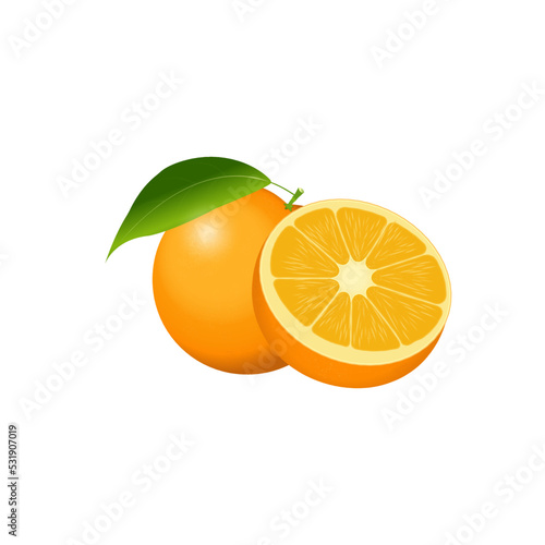 Vector illustration of an orange with leaves on a white background