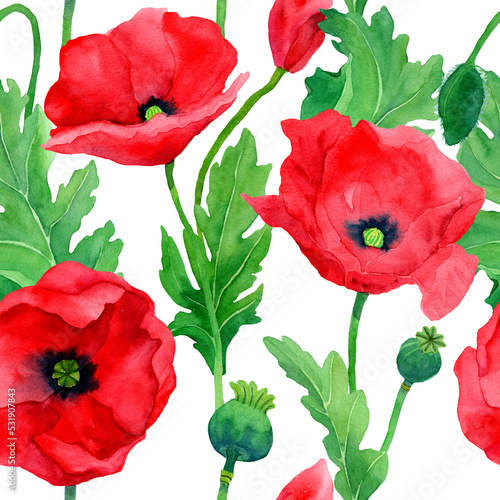 Watercolor hand drawn poppies seamless pattern. Botany illustration of red poppy. Field of red flowers. Design for background  packaging  cover  decor  textile elements.