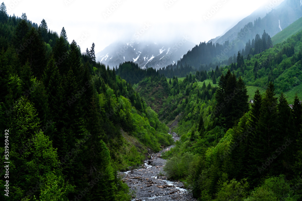Tal nahe Fallerschein mit Bach in Österreich Tal nahe Fallerschein mit Bach in Österreich